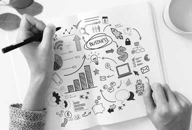 三三合数打一生肖、积极解释与落实的转变